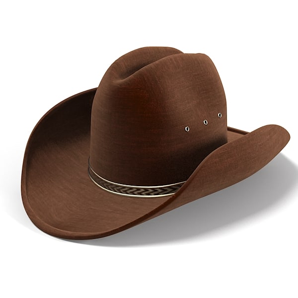 3d cowboy hat model